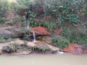 Green Landscape India