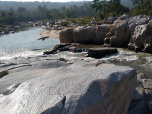 Wild River Landscape