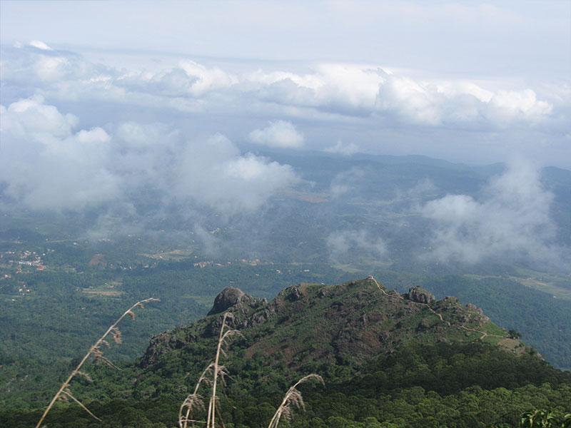 Mountain View OOTY