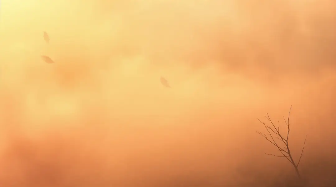 soft-orange-hued-mist-with-a-lone-dry-branch