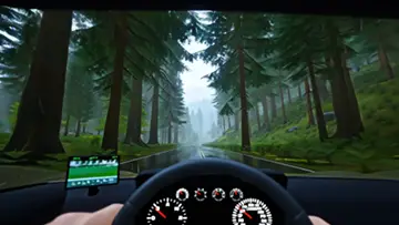 driving-through-a-beautiful-forest