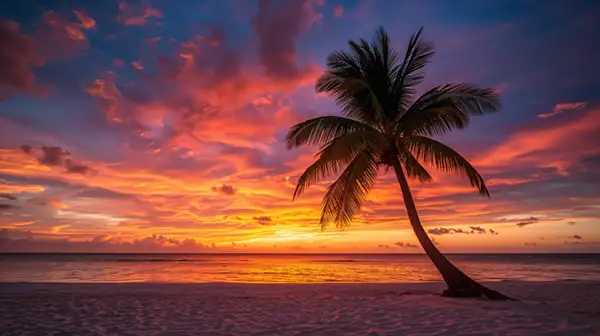 tropical-beach-sunset
